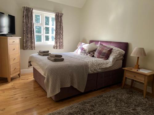 1 dormitorio con cama y ventana en South Craighall B&B en Eaglesham