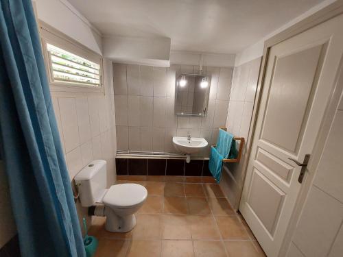 een kleine badkamer met een toilet en een wastafel bij KAZLETANG in Le Poteau