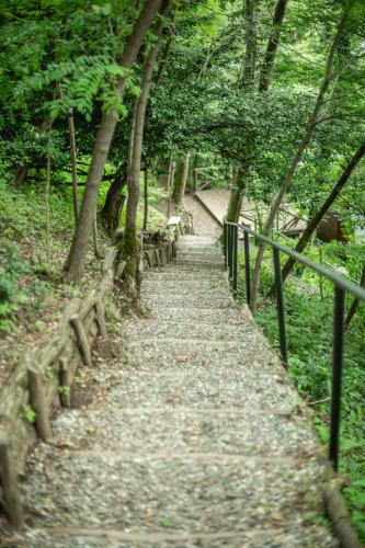 a path in a park with trees and a fence at Porto Gumati in Kutaisi