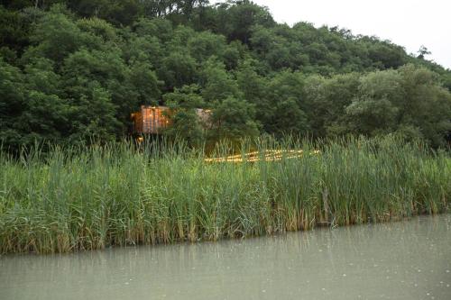 a train sitting in the grass near a body of water at Porto Gumati in Kutaisi