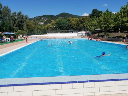 een groep mensen die zwemmen in een zwembad bij Tre metr sopra il cielo '' girasoli'' in Felitto