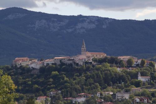 a town on top of a hill with a church at Apartments with a parking space Buzet, Central Istria - Sredisnja Istra - 17333 in Buzet