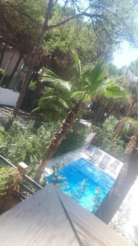 - une vue sur la piscine bordée de chaises et d'arbres dans l'établissement Private Residence Full Apartment in Golem, à Golem