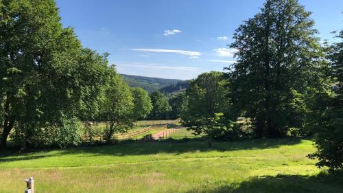 a grassy field with trees and hills in the background at Le refuge de Kila in Waimes
