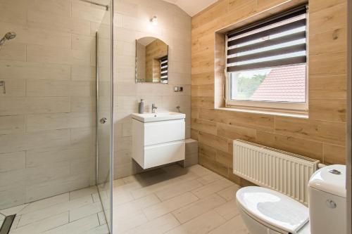 a bathroom with a toilet and a sink and a window at Noclegi Orło na Mazurach in Ryn