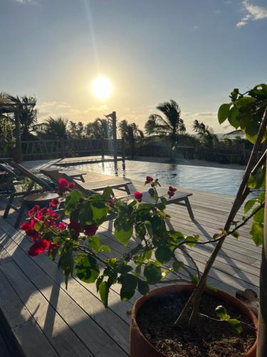 a potted plant sitting on a deck with a fountain at LaVentana Tatajuba in Tatajuba
