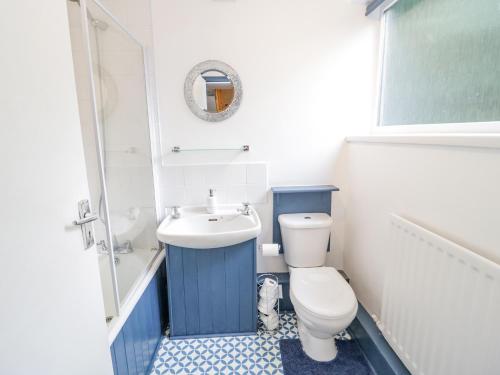 a bathroom with a toilet and a sink and a mirror at 4 Tanyrallt Terrace in Llangollen