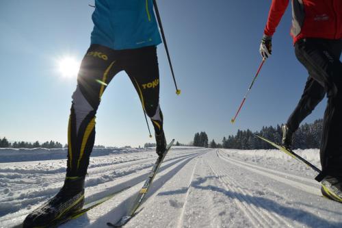 two people cross country skiing on a snow covered road at Hotel Post - regionales großes Frühstücksbuffet - auch GF & LF in Scheidegg