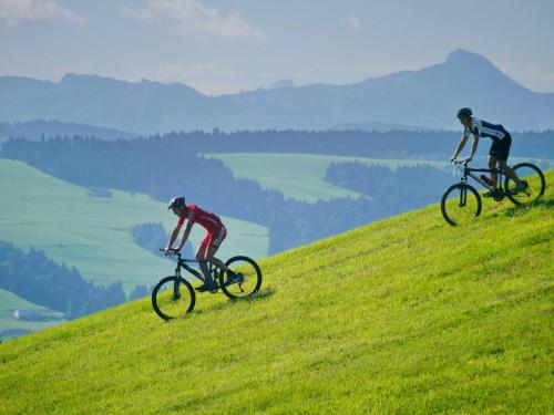 two people riding bikes on a grassy hill at Hotel Post in Scheidegg