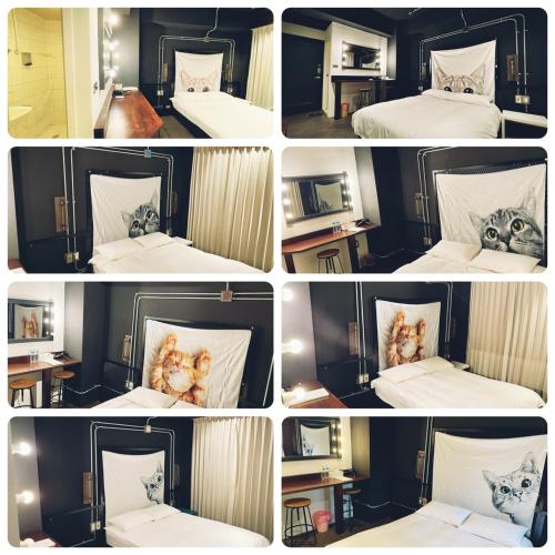 a group of four pictures of a bedroom with a cat on a bed at 逢甲旅棧 in Taichung