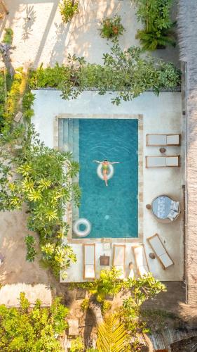 Κήπος έξω από το La Cocoteraie Ecolodge - Luxury Glamping Tents