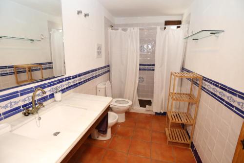 a bathroom with a sink and a toilet and a shower at Preciosa casa en capileira in Capileira
