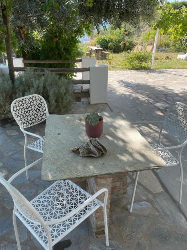 Gallery image of Studios Andromache in Skopelos Town