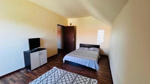 um quarto com uma cama e uma televisão em Casa Vio em Timisoara