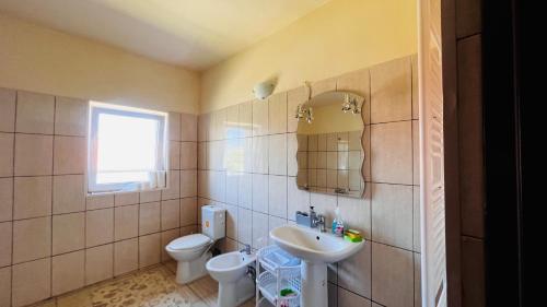 een badkamer met een wastafel, een toilet en een spiegel bij Casa Vio in Timişoara