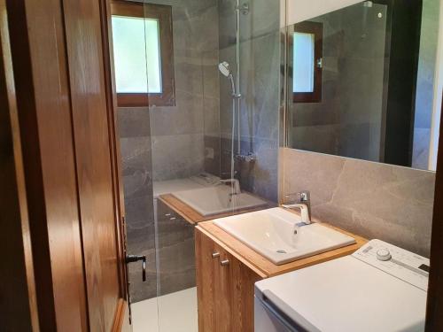 une salle de bain avec un lavabo et une douche dans l'établissement Chalet de Basseville, à Combloux