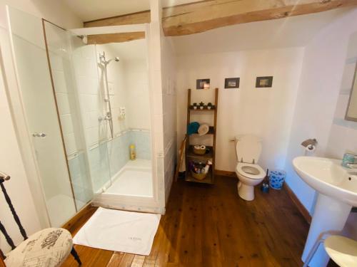 W łazience znajduje się prysznic, toaleta i umywalka. w obiekcie La Barauderie , chambre individuelle w mieście Mazeray