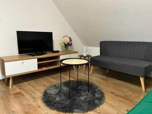ein Wohnzimmer mit einem Sofa und einem TV in der Unterkunft Apartmán Zelený dom 43 (2) in Banská Štiavnica