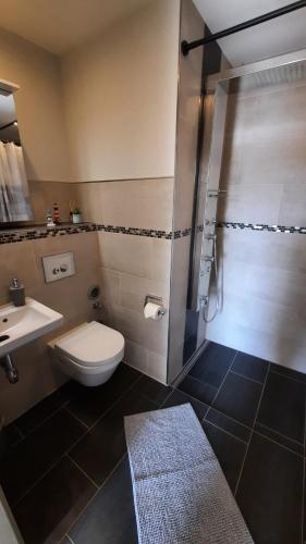 a bathroom with a shower and a toilet and a sink at Ferienwohnung Schneeberg in Papendorf