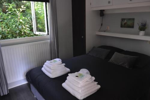 ein Bett mit Handtüchern darüber mit Fenster in der Unterkunft VH Wellness Natuurhuisje Het spikkennust in Diever