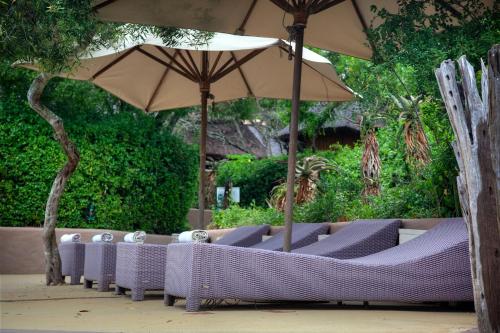 Zahrada ubytování Safari Lodge - Amakhala Game Reserve