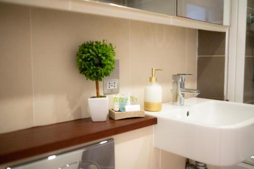 łazienka z umywalką i rośliną na ladzie w obiekcie Seaview, Luxury apartment, 2 min walk to both Porth and Whipisderry beaches w Newquay