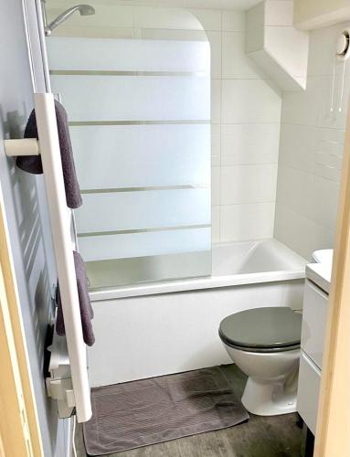 une salle de bain avec toilettes et baignoire dans l'établissement Vieux-Lille : Appartement de charme, à Lille