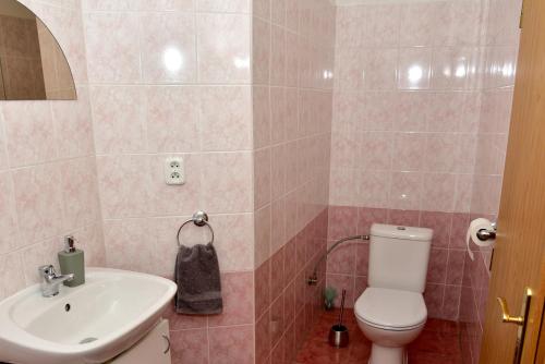 a bathroom with a toilet and a sink at Penzión Ošo in Vrbov