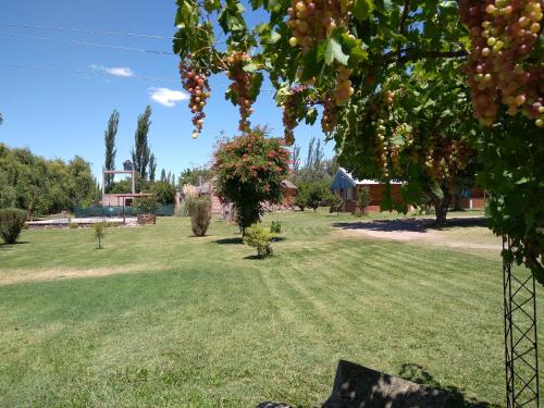 Taman di luar Cabaña La Palloza