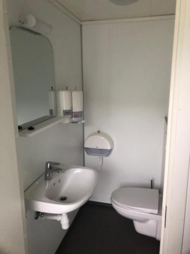 a bathroom with a sink and a toilet and a mirror at Uniqe Cabin i Sirdal Trongenhytta in Tjørhom