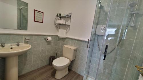 a bathroom with a shower and a toilet and a sink at Orient B&B in Holyhead