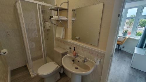a bathroom with a sink and a toilet and a mirror at Orient B&B in Holyhead