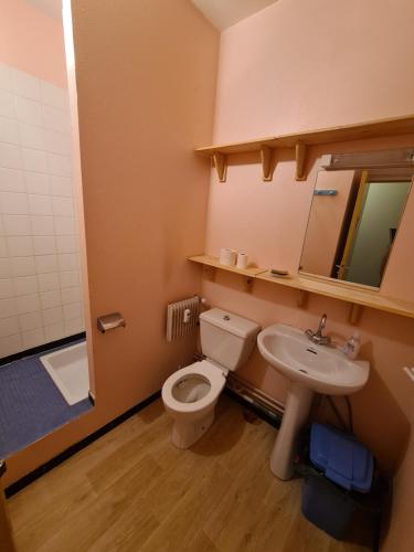 a bathroom with a toilet and a sink at Ski-to-door apartment au Collet d'Allevard in Allevard
