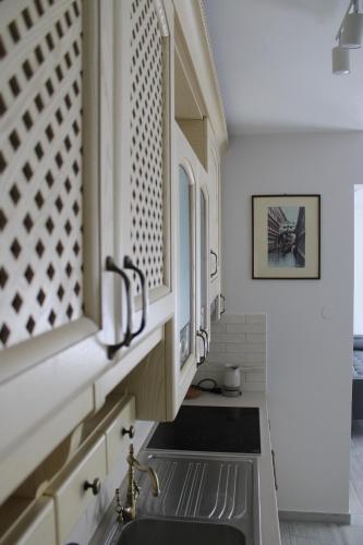 A kitchen or kitchenette at Urban Chic Apartments Lefkada
