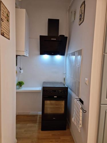 a small kitchen with a stove and a sink at AryaHome in Bistriţa