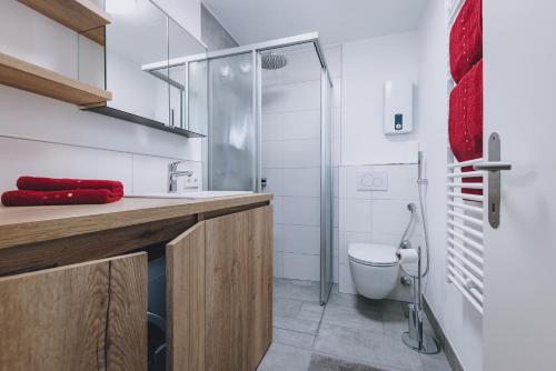 a bathroom with a toilet and a glass shower at Appartement Farina in Kaprun