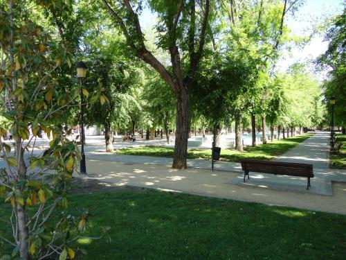 a park with a bench and trees on a sidewalk at Hostal Gran Vía in Pinto