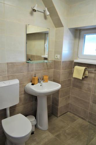 a bathroom with a sink and a toilet and a mirror at Casa Calin in Crisan