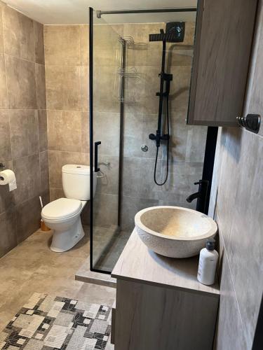 Fotografie z fotogalerie ubytování Soko House v destinaci Sokolac