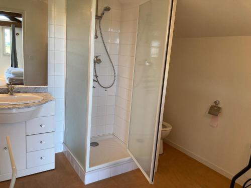 a shower with a glass door in a bathroom at Gites le Mathelin in Lamothe-Montravel