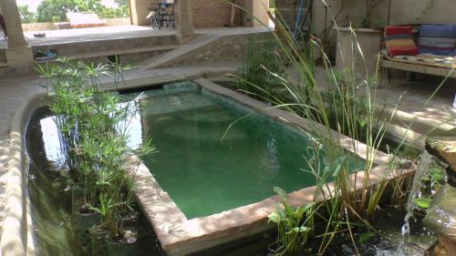 索維拉的住宿－Slow Luxury at the Serai，花园中的一个绿色小池