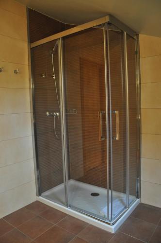a shower with a glass enclosure in a bathroom at Apartaments Turístics Puigcerdà - La Closa in Puigcerdà