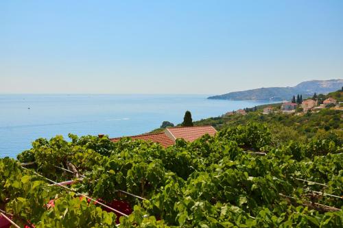 Gallery image of Apartman Ani in Mlini