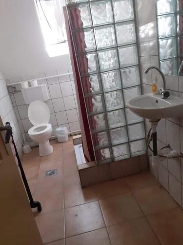a bathroom with a toilet and a sink at Malomtavi Vendégház Tapolca in Tapolca