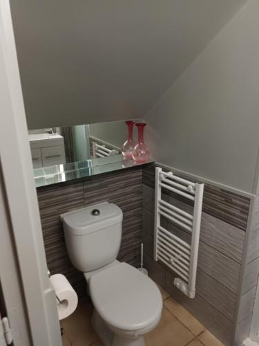 une salle de bain avec des toilettes blanches et un miroir dans l'établissement Logement Martine, à Rouffignac-Saint-Cernin-de-Reilhac