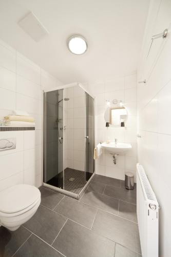 a bathroom with a shower and a toilet and a sink at Pension am Schlossberg in Reichenberg