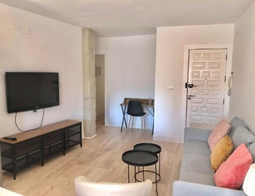 een woonkamer met een bank en een flatscreen-tv bij FLEMING CENTRO in Granada