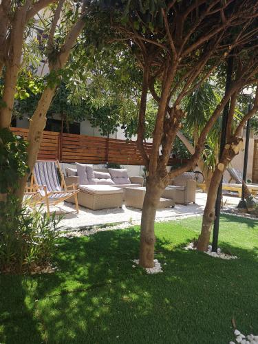 a patio with couches and trees in a yard at Santa Irene in Sougia