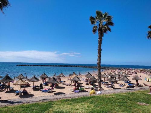 First line, upscale apartment Los Cristianos! 11thFloor Views