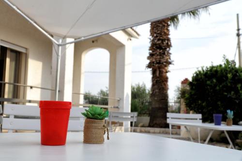 a table with two red cups and a plant on it at B&B Bouganville in Rilievo